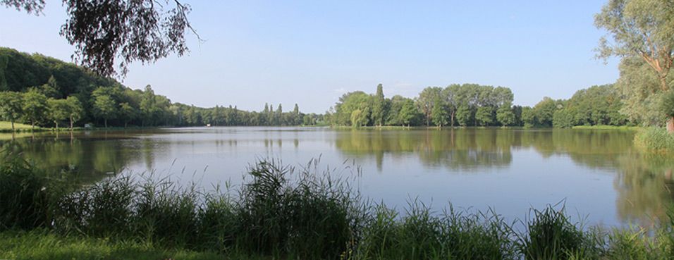 Obermorschwiller : paysage étang