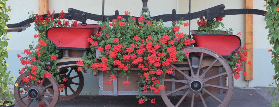 Obermorschwiller village fleuri